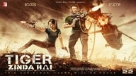 Tiger Zinda Hai (2017)