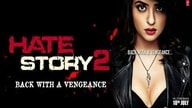 Hate Story 2 (2014)