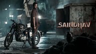 Saindhav (2024)